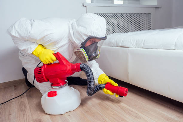 Best Wasp Removal Services  in Midland City, AL