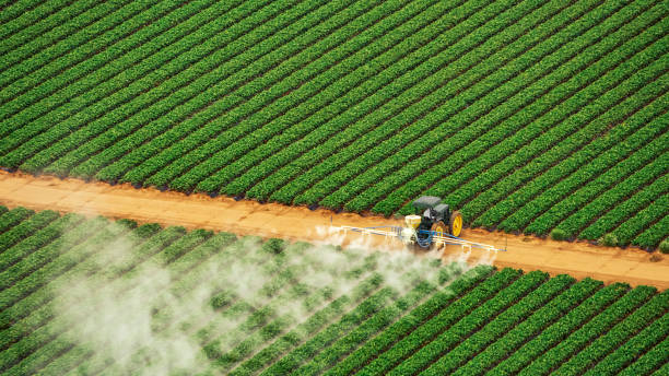 Best Pest Prevention Services  in Midland City, AL