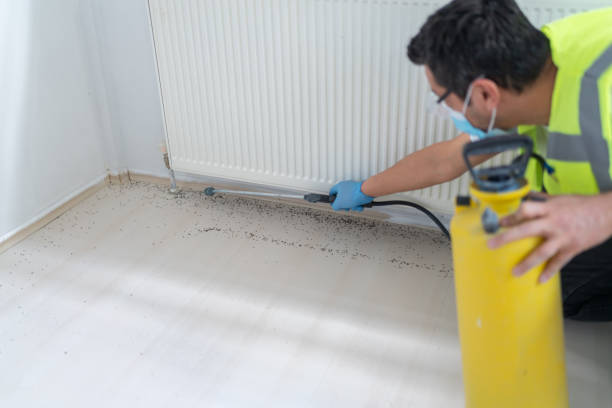 Best Best Pest Control Companies  in Midland City, AL