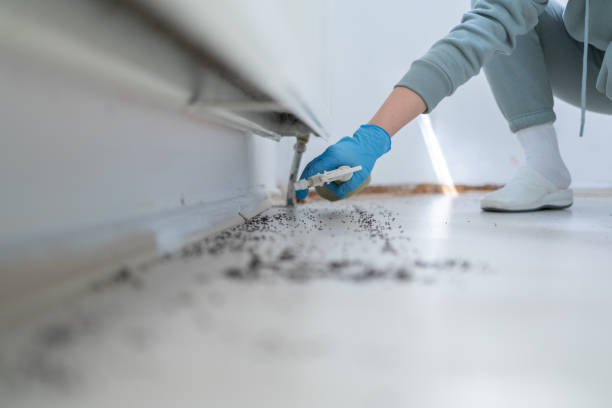 Best Cockroach Control Services  in Midland City, AL